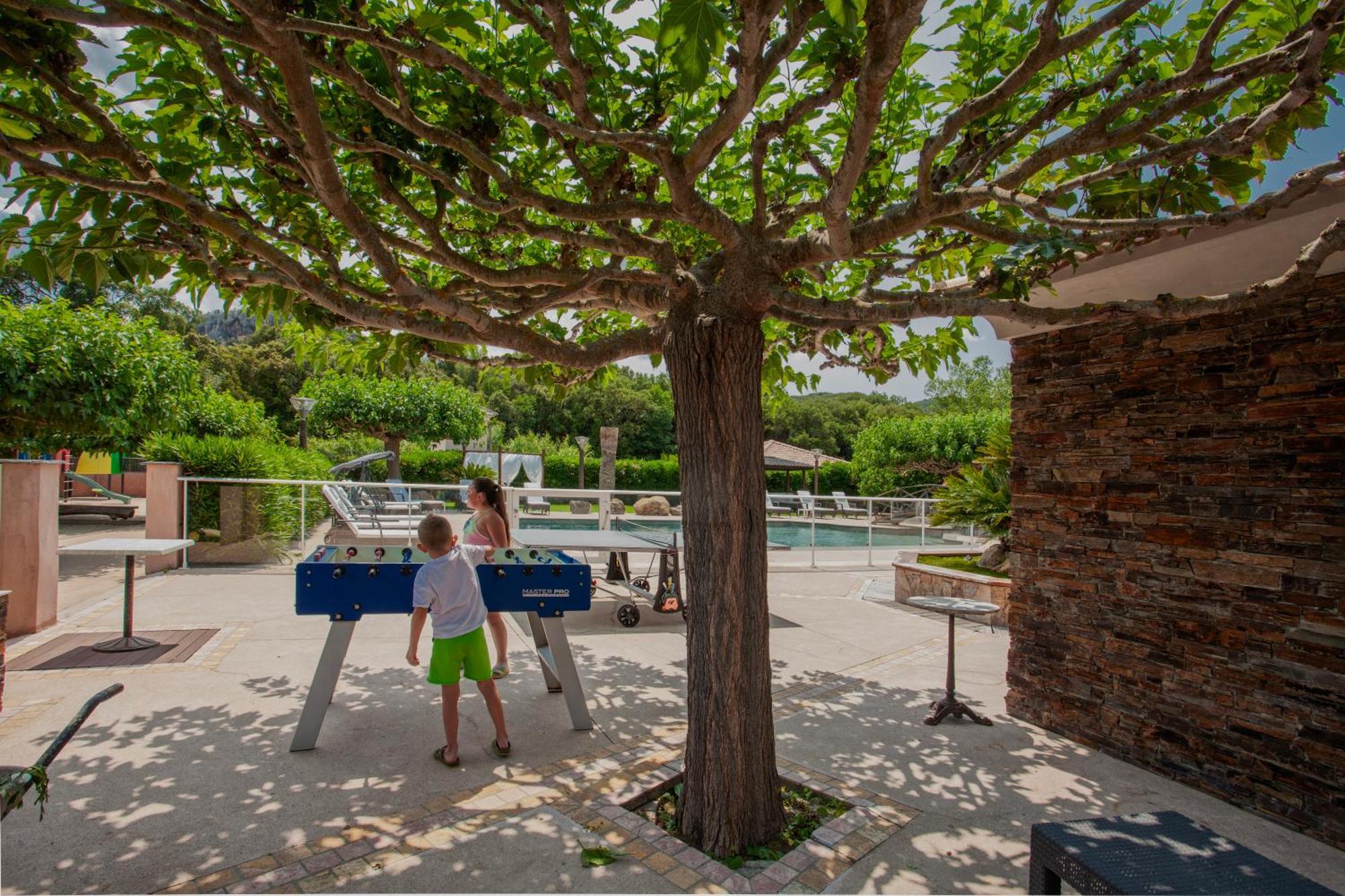 U Guadellu - Piscine Chauffee