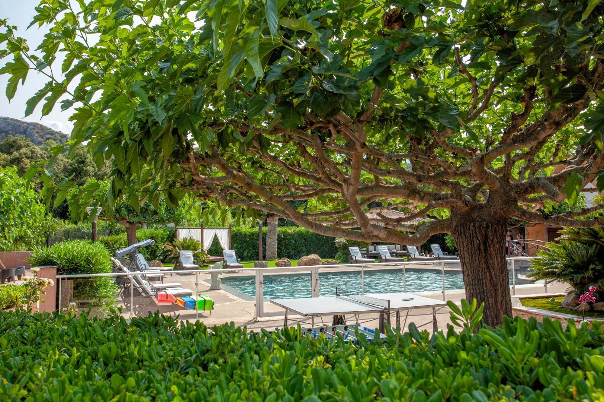 U Guadellu - Piscine Chauffee *